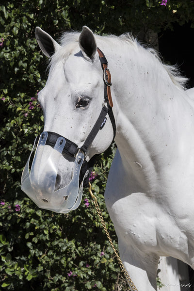 Thinline Breakaway Halter