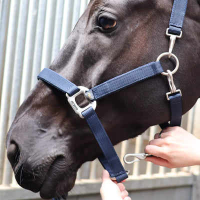 Lami-Cell Grooming Halter