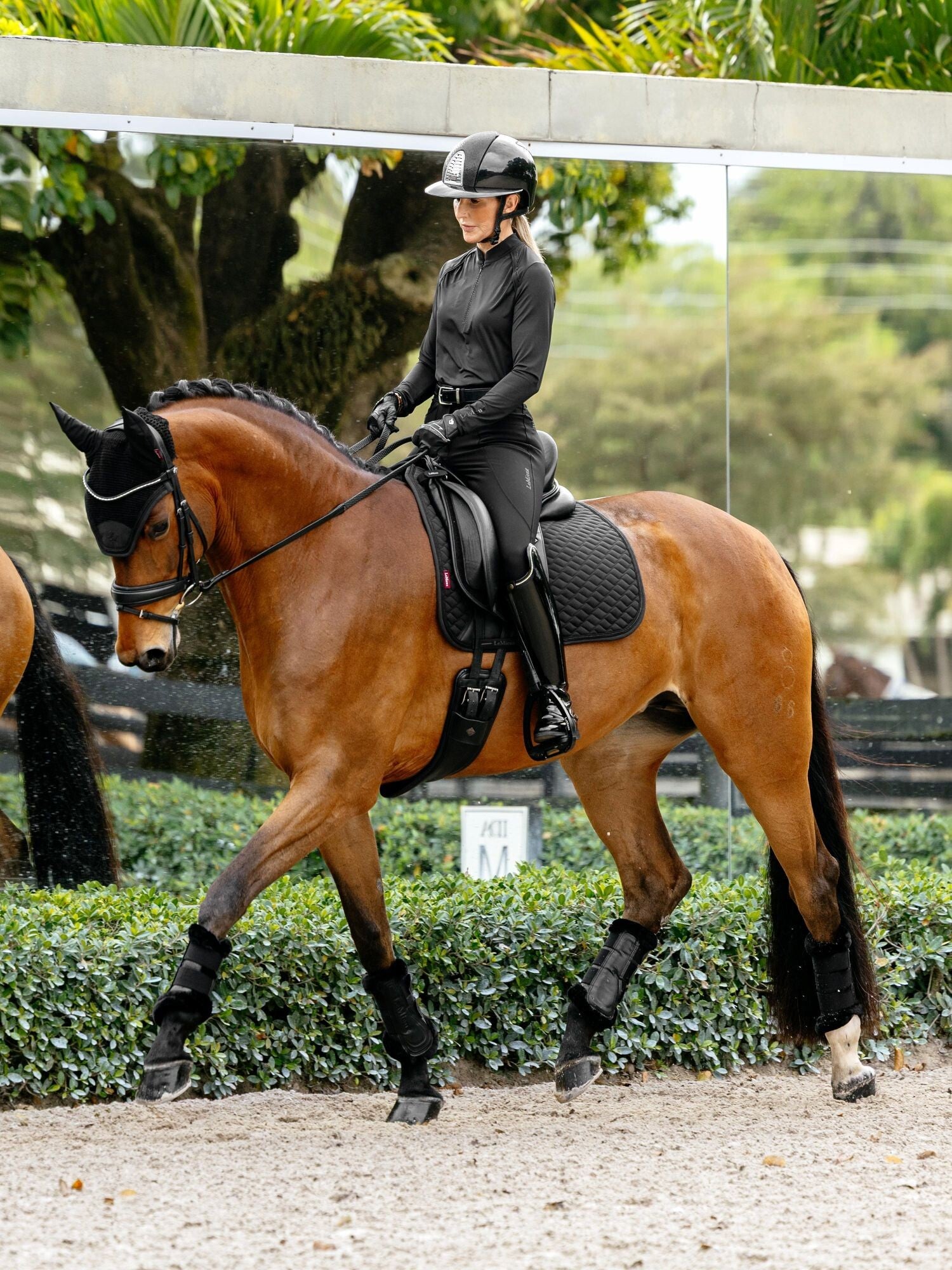 LeMieux Brilliance Dressage Square Saddle Pad