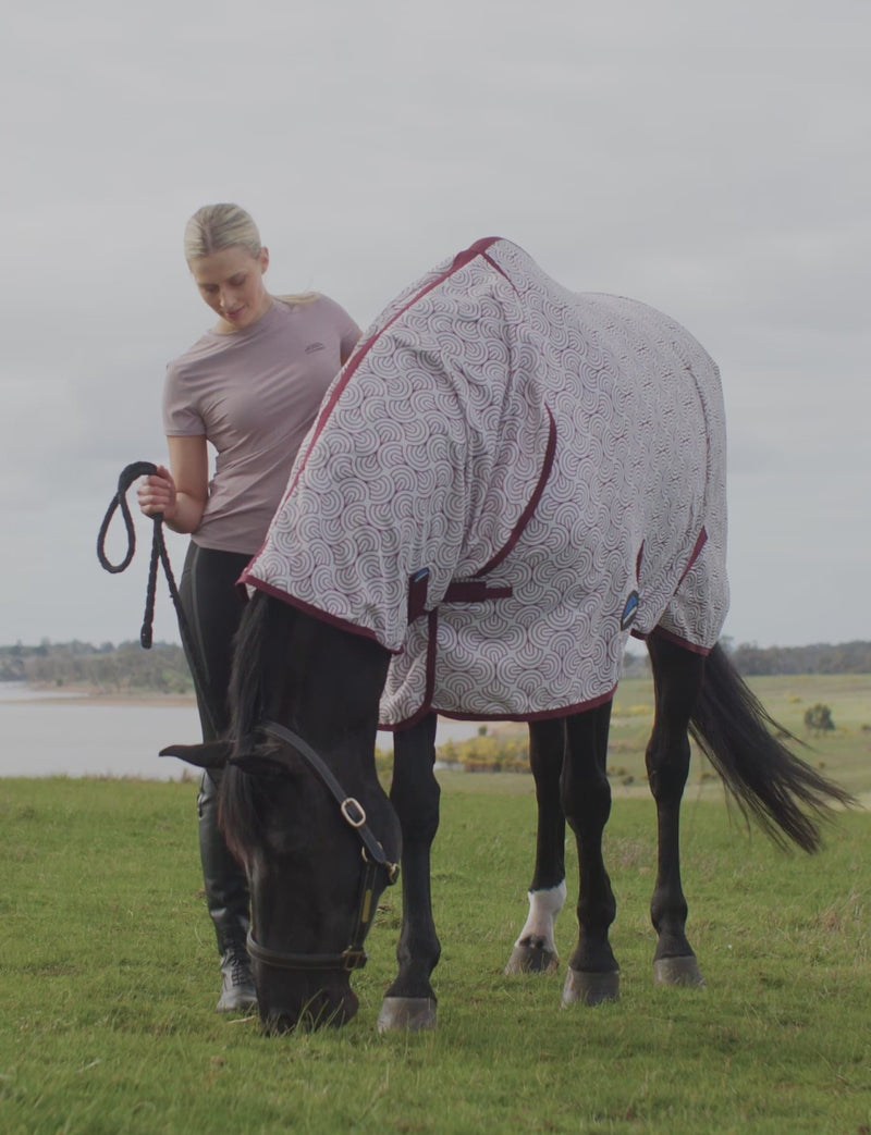 Limited Edition Mesh Fly Rug Video