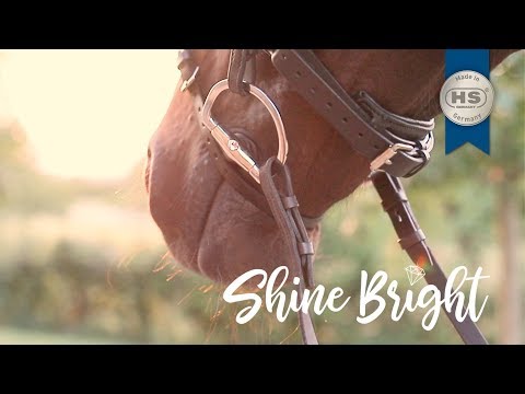 Sprenger Dynamic RS Eggbutt Bit with D-shaped rings 16 mm double jointed