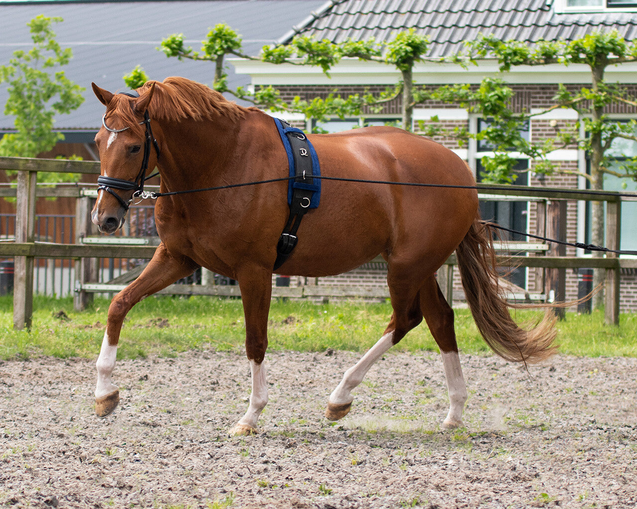 QHP Double Lunging rein