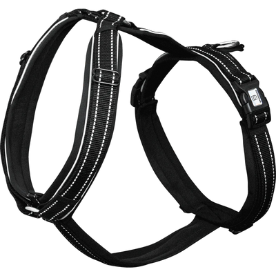 Sprenger Foal Harness