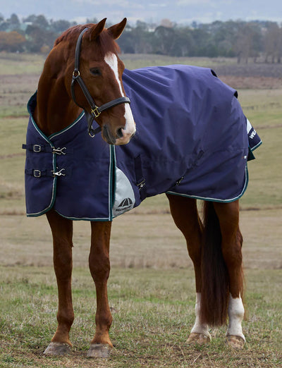 Weatherbeeta ComFiTec Plus Dynamic Turnout Standard Neck Rug - Medium Lite - 100g