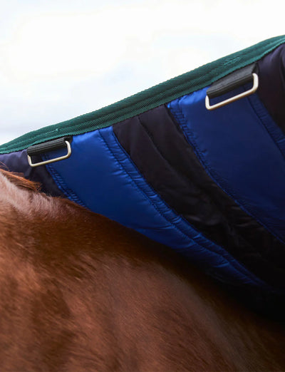 Weatherbeeta ComFiTec Plus Dynamic Turnout Standard Neck Rug - Medium Lite - 100g