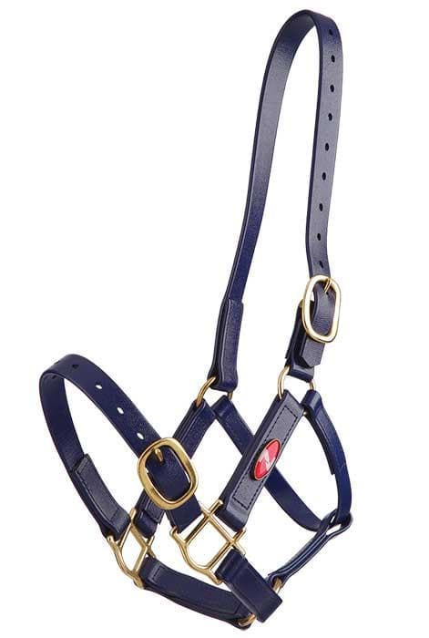 Zilco Headstall PN 25mm