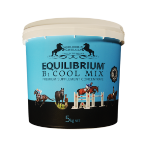 Equilibrium B1 (Blue)