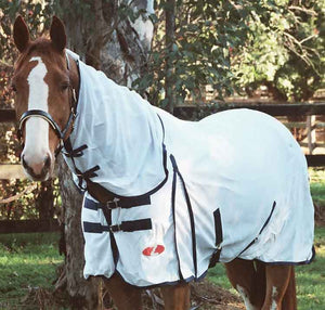 Protection Plus - Tack & Things Equestrian Shop