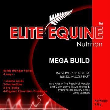Elite Equine Mega Build / 2.1kg