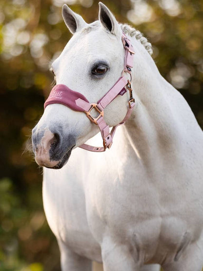 LeMieux Mini Vogue Headcollar & Leadrope - AW23