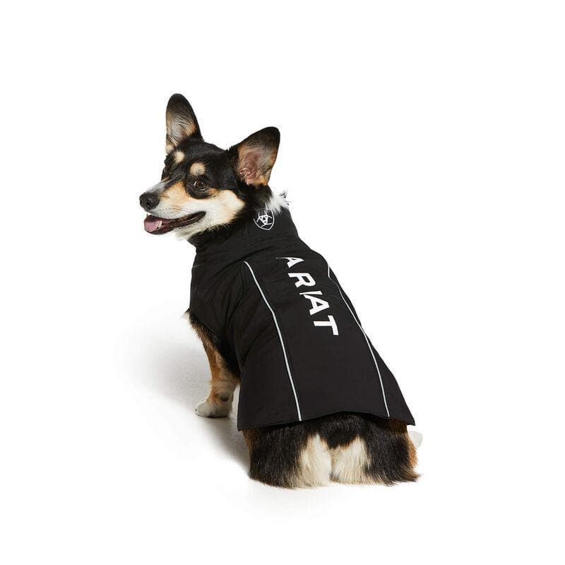 Ariat Team Softshell Dog Jacket - Team
