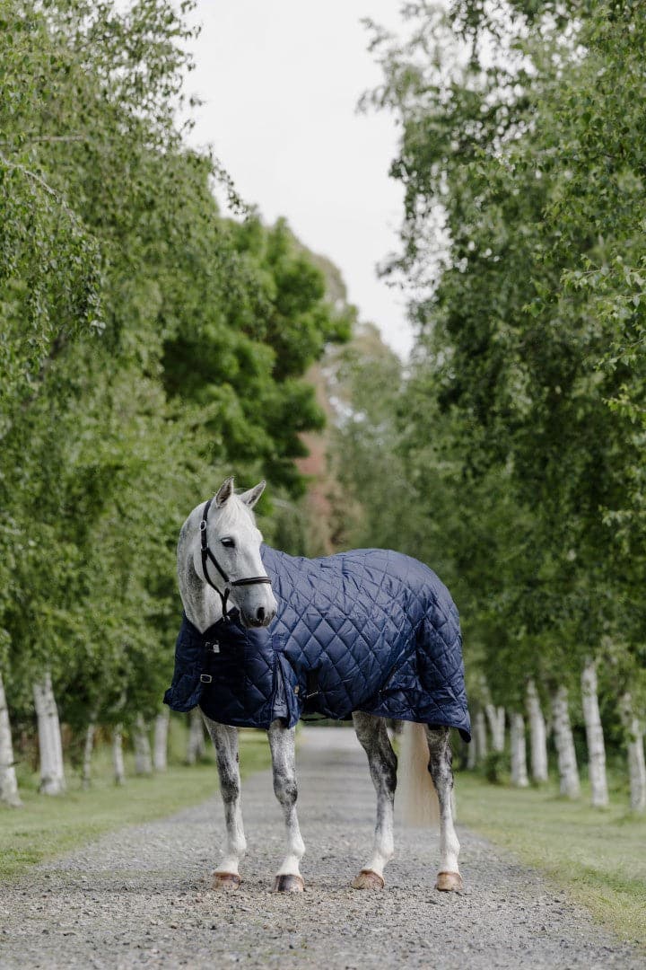 Cavallino Stable Rug 220gm