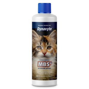 Dynavyte Clever Cat MBS