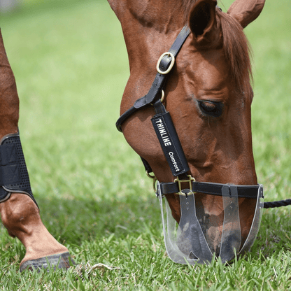 Flexible Filly Grazing Muzzle