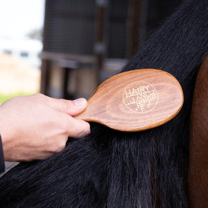 Hairy Pony Brush Kit