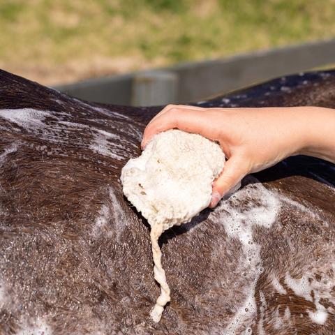 Hairy Pony Original Shampoo Bar with Mesh Bag