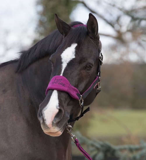 Lemieux Vogue Headcollar & Leadrope