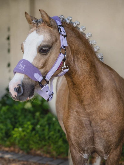 LeMieux Mini Vogue Headcollar & Leadrope -SS23