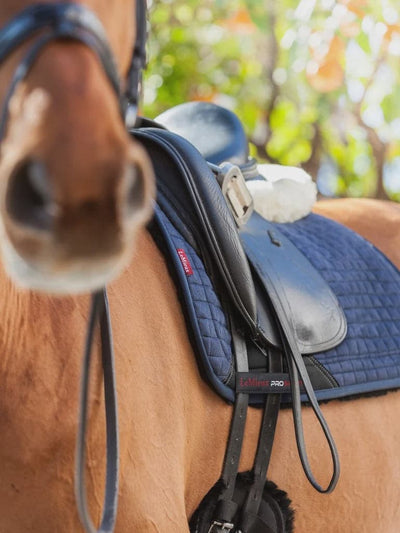 LeMieux Sensitive Dressage Square