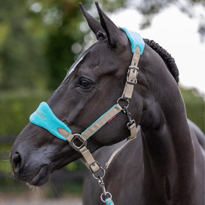 Lemieux Vogue Headcollar & Leadrope