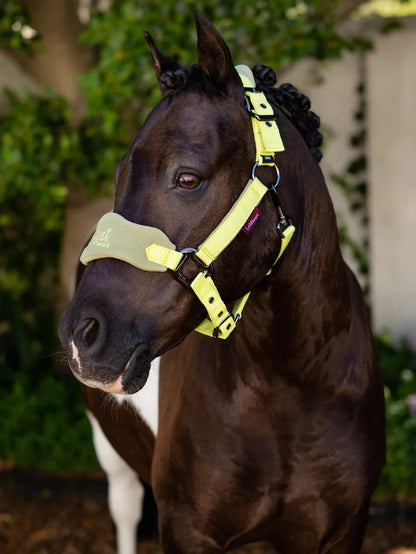 LeMieux Mini Vogue Headcollar & Leadrope -SS23