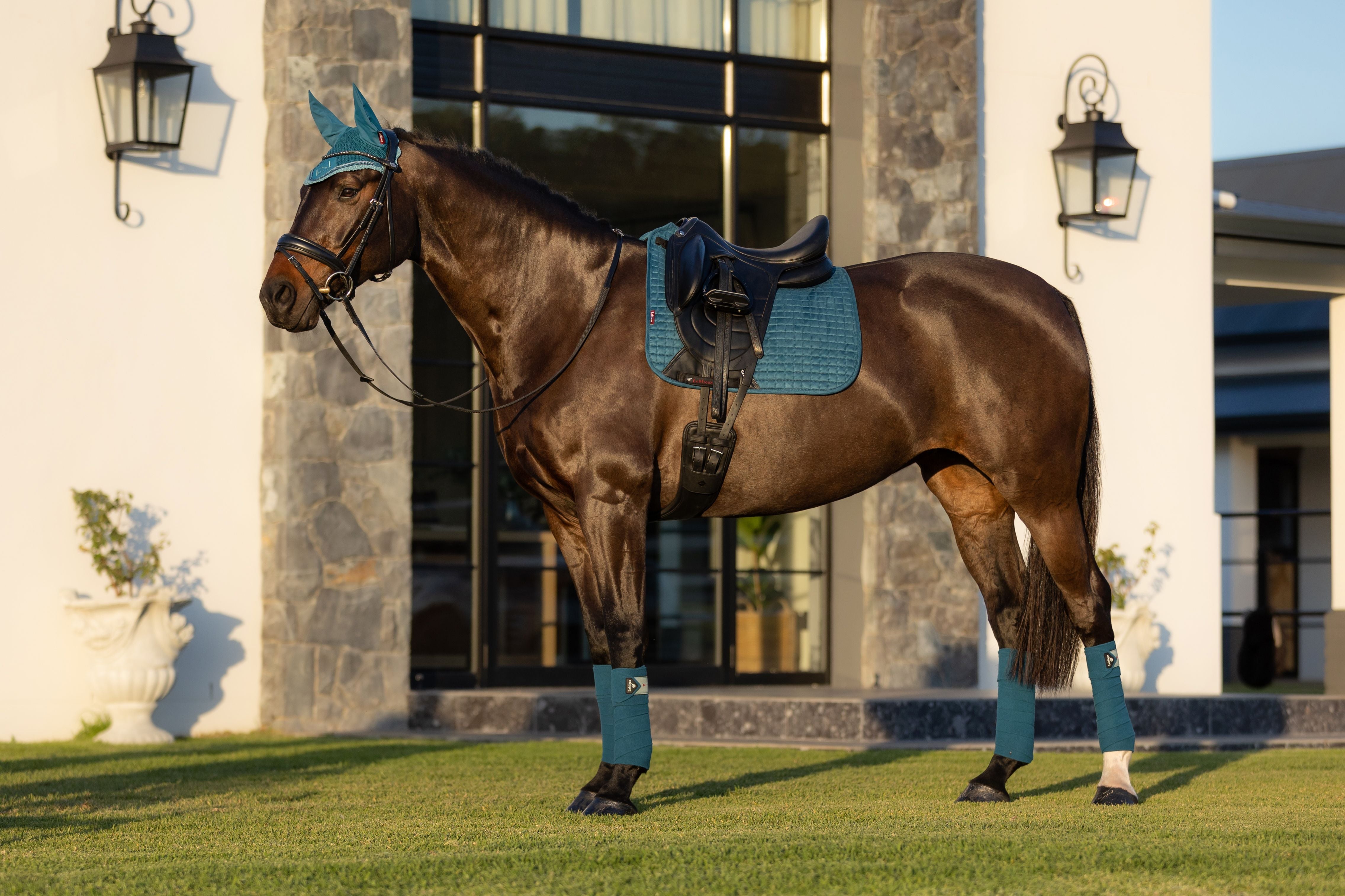 LeMieux Suede Dressage Square Saddle Pad