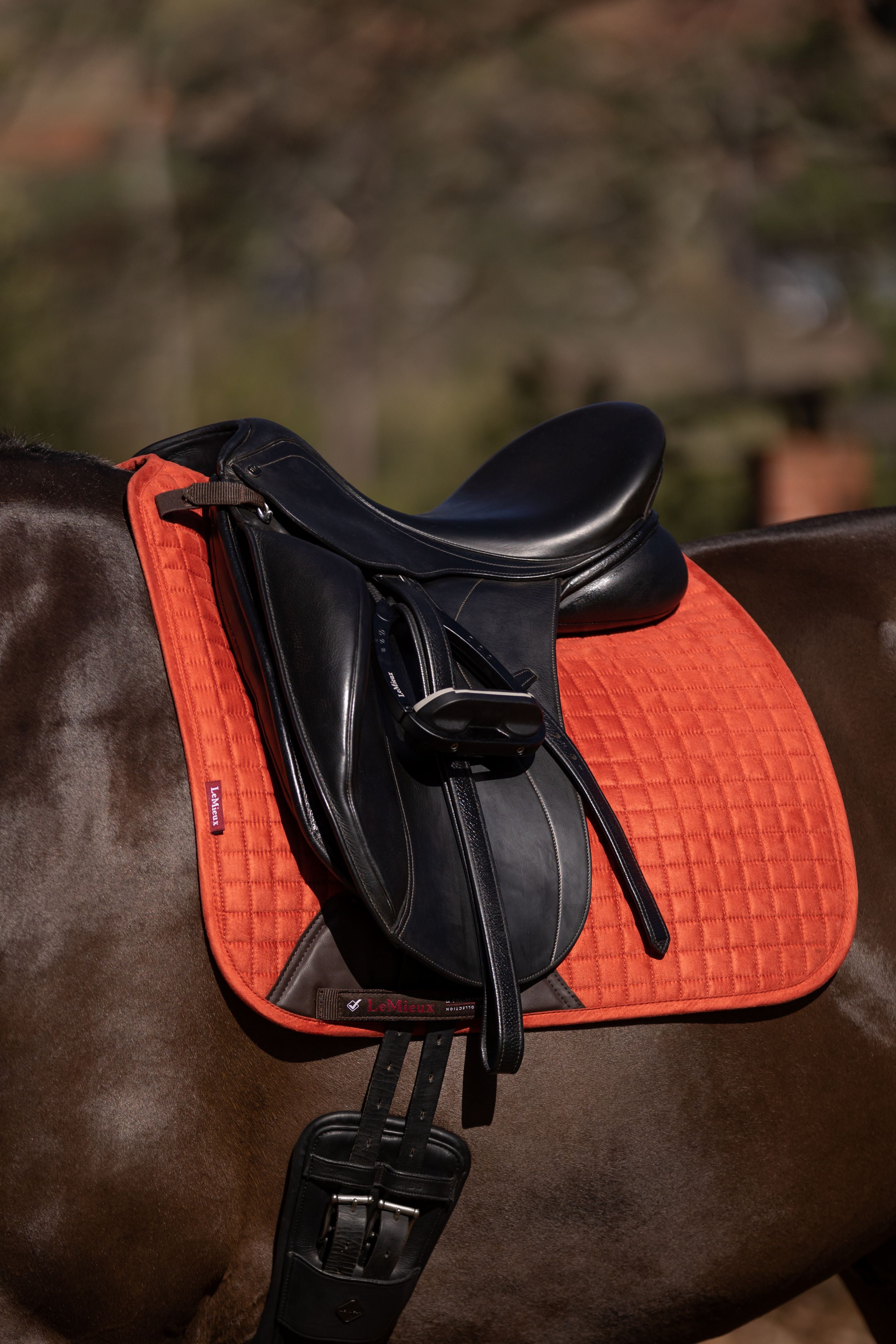 LeMieux Suede Dressage Square Saddle Pad