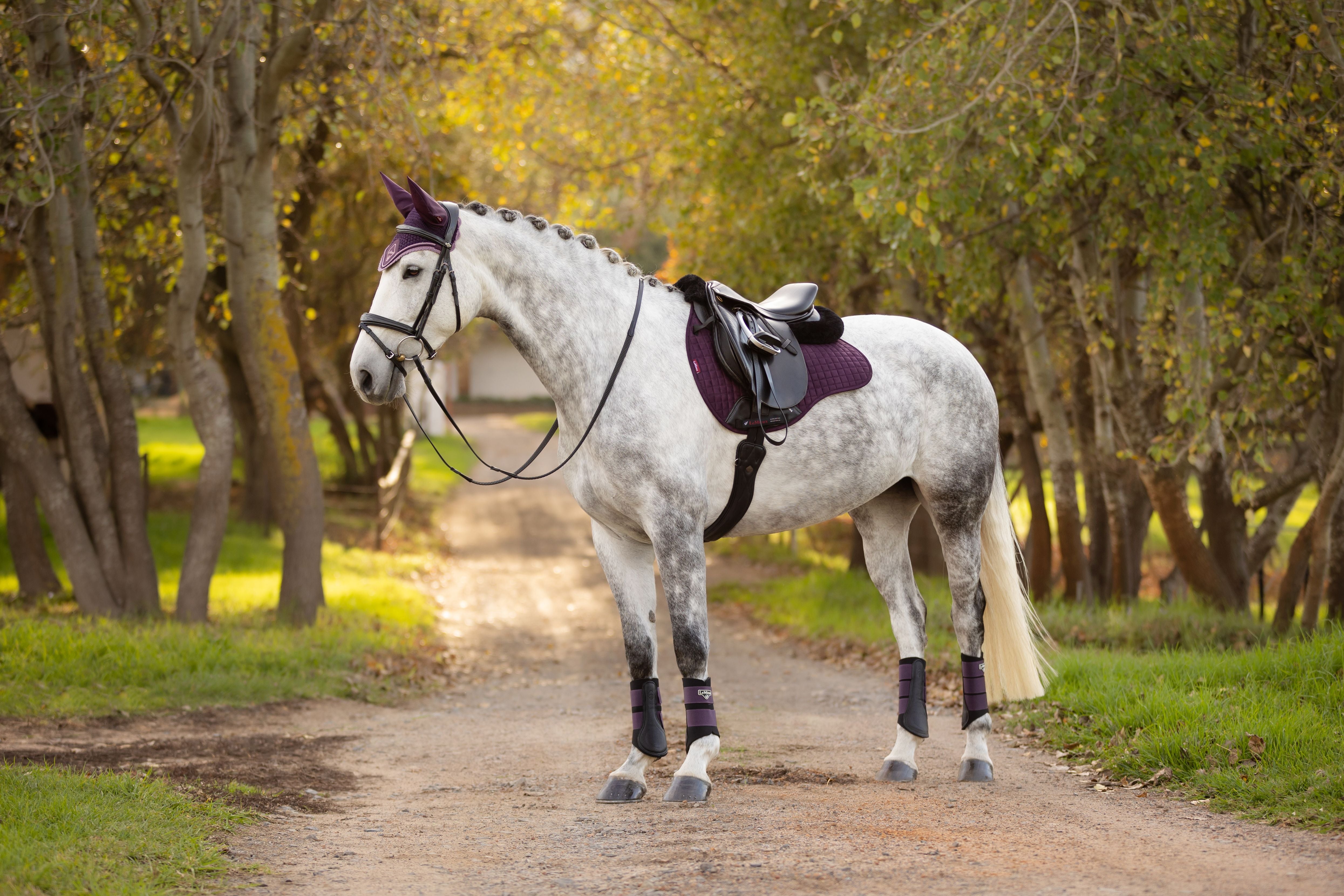 LeMieux Suede General Purpose Square Saddle Pad