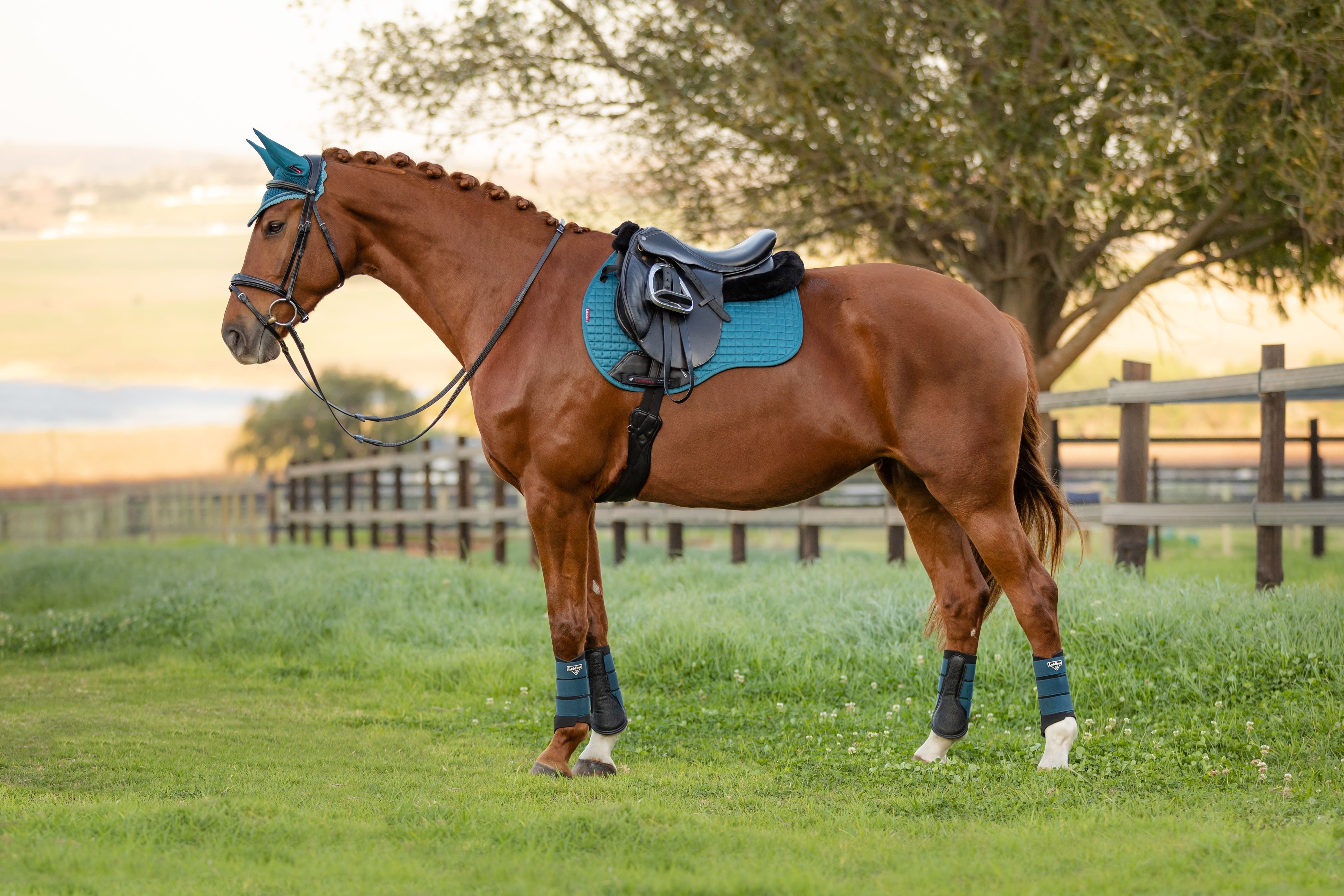 LeMieux Suede General Purpose Square Saddle Pad