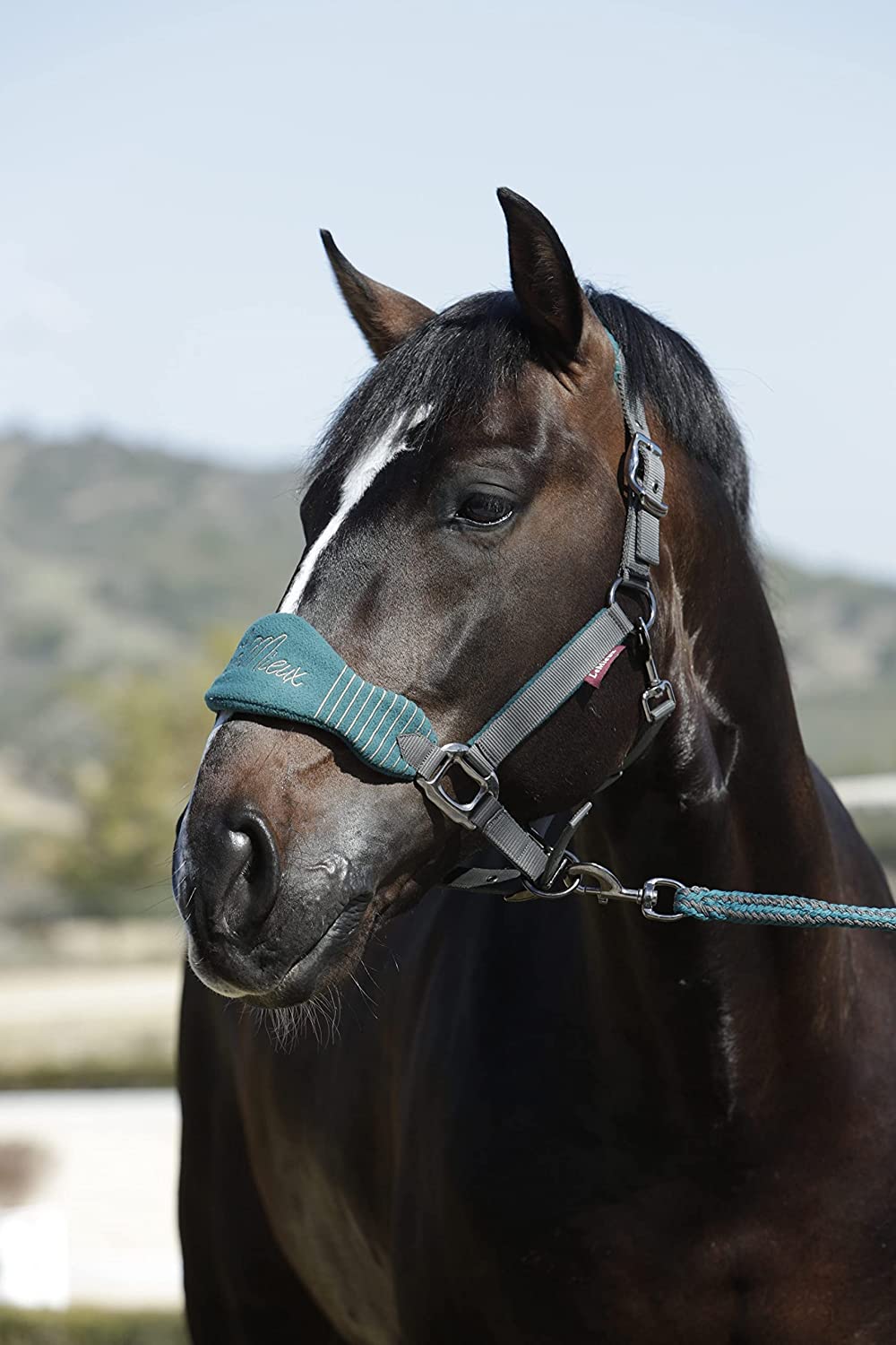 Lemieux Vogue Headcollar & Leadrope