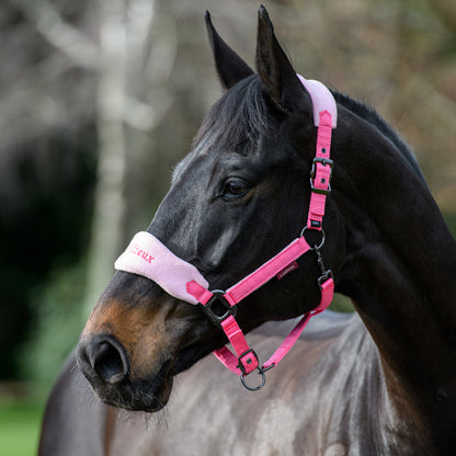 Lemieux Vogue Headcollar & Leadrope