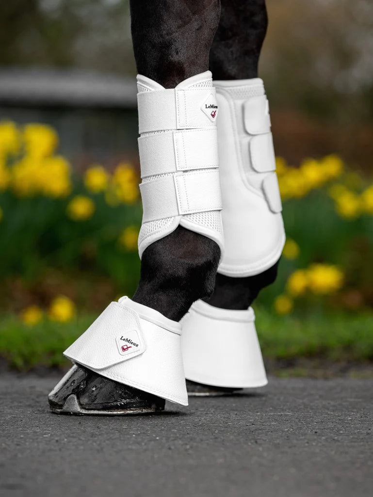 Lemieux Mesh Brushing Boots