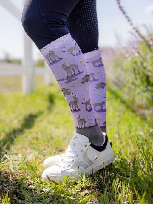 LeMieux Footsie Socks - SS23