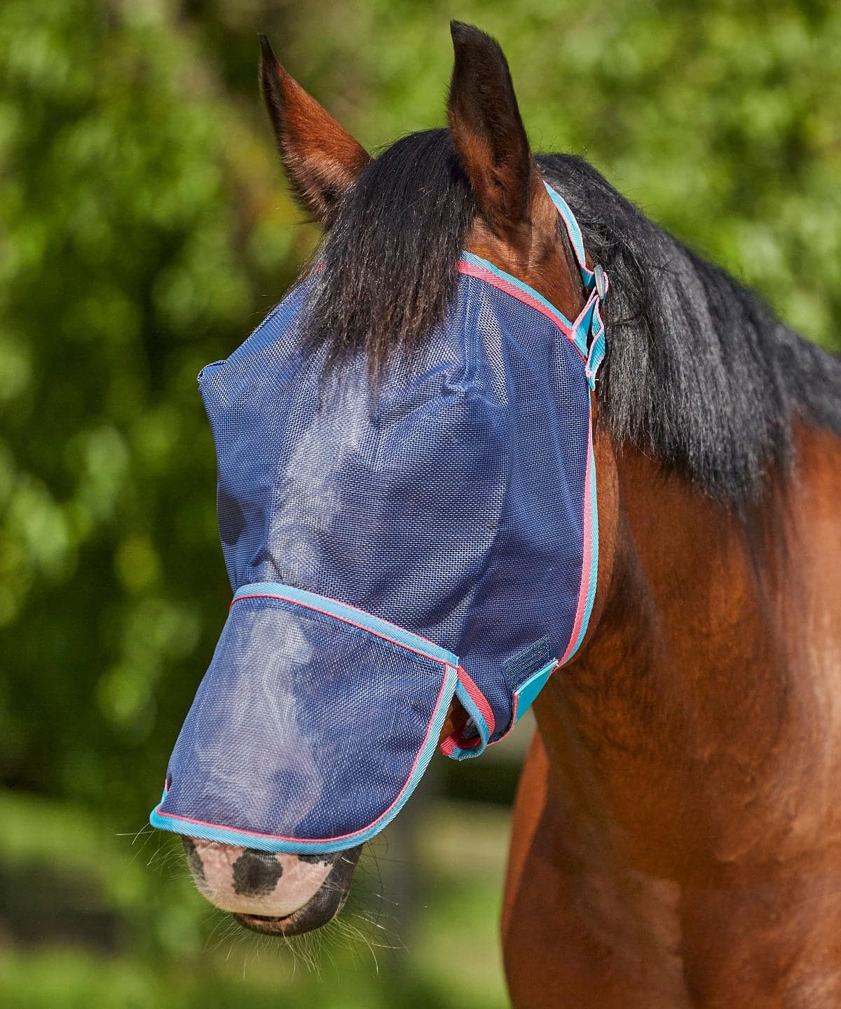 Saxon Buzzaway Fly Mask with Nose Net - Navy/Turqoise/Pink