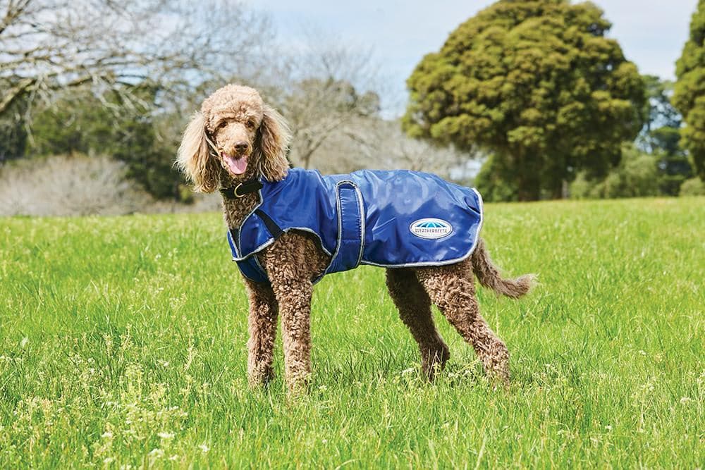 Weatherbeeta ComFiTec Windbreaker Free Deluxe Dog Coat