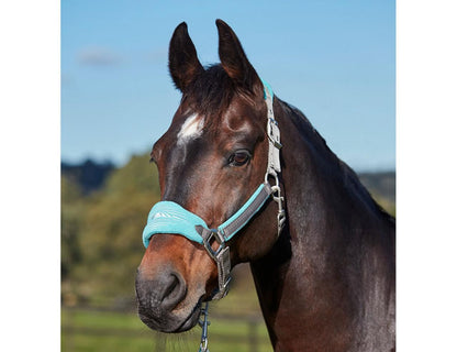 Weatherbeeta Prime Plus Headcollar and Lead set