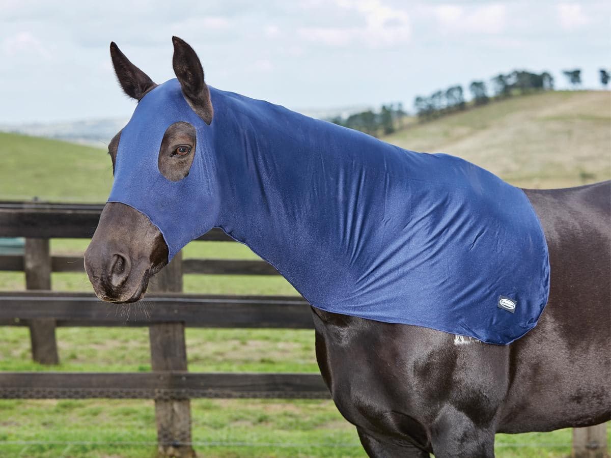 Weatherbeeta Stretch Hood