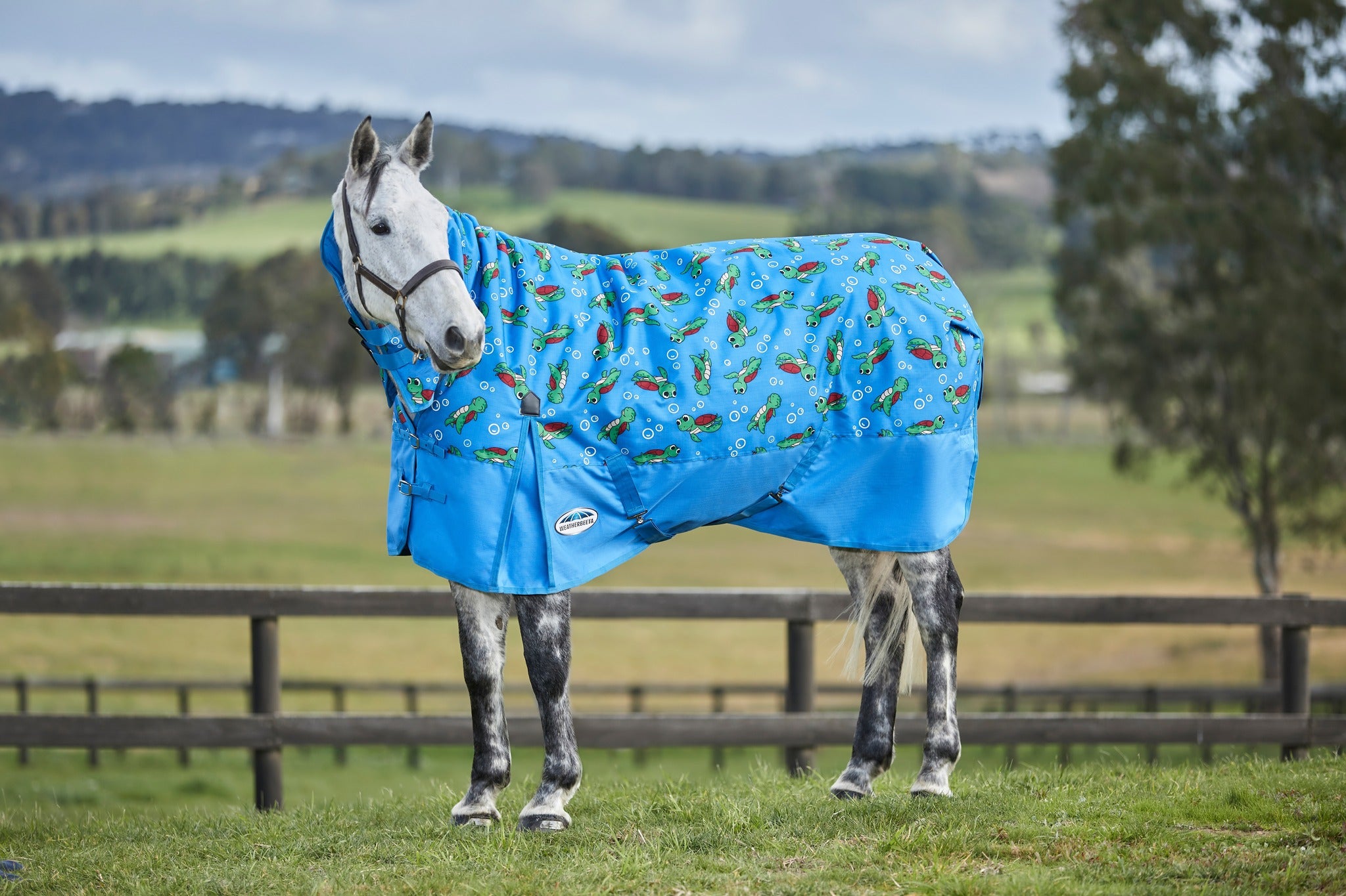 Weatherbeeta Turtle Rug Winter Horse Covers. Winter Horse Rugs. Weatherbeeta, Zilco, NZ Wide ...