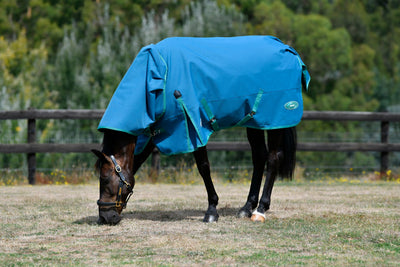 Weatherbeeta Green-Tec 1200D Detach-A-Neck Lite Plus Cover - Dragonfly Blue