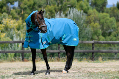 Weatherbeeta Green-Tec 1200D Detach-A-Neck Lite Plus Cover - Dragonfly Blue