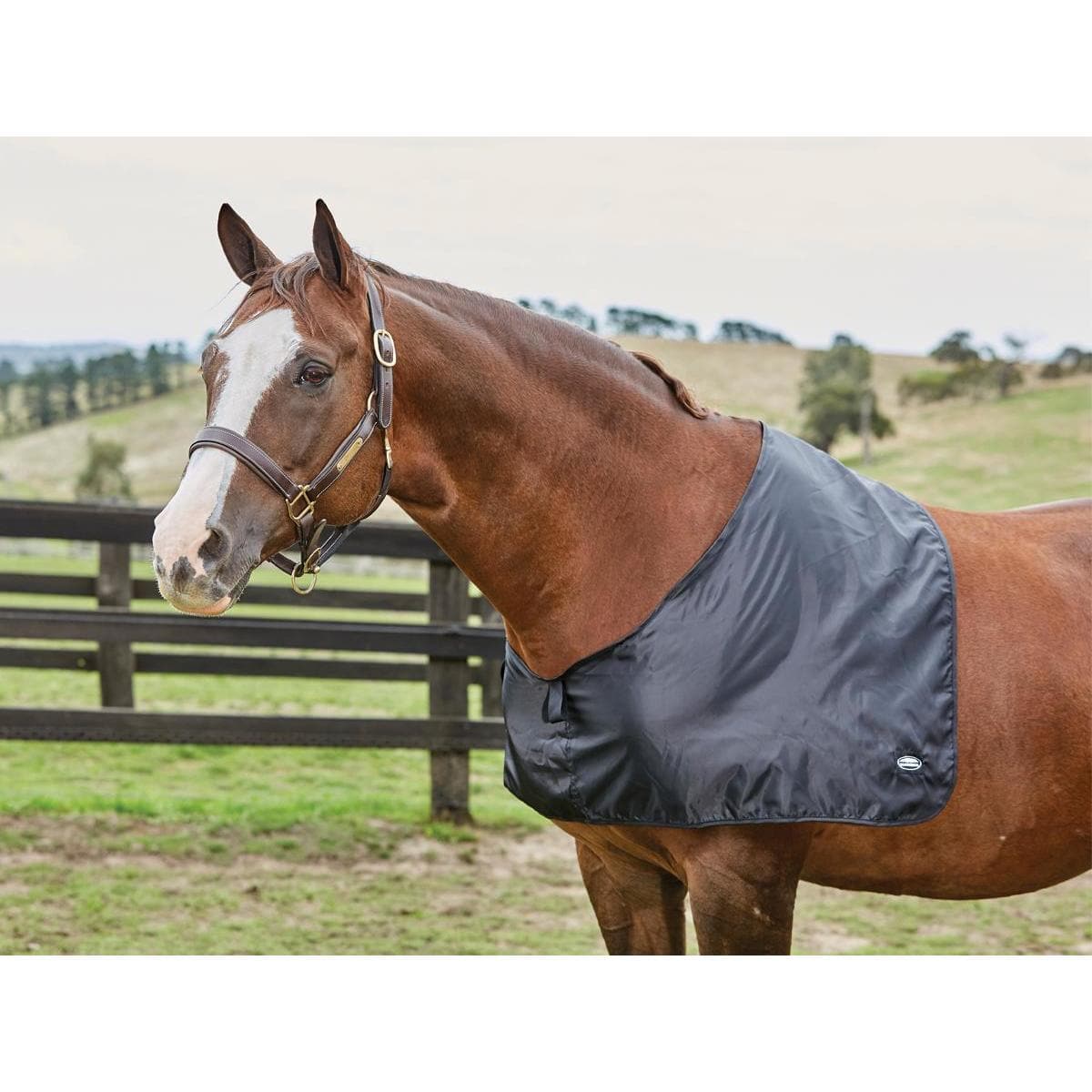 Weatherbeeta Satin Shoulder Guard