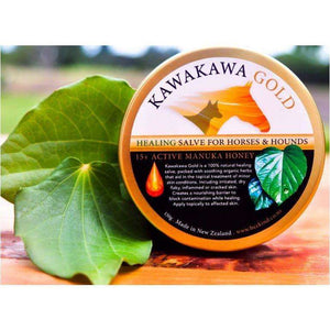 Bee Kind Kawakawa Gold with Active 15+ Manuka Honey - Horse & Hound