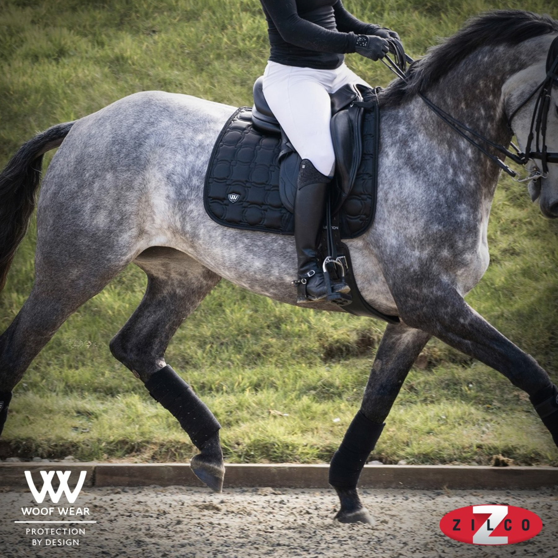 Woof Wear Vision Dressage Saddle Pad