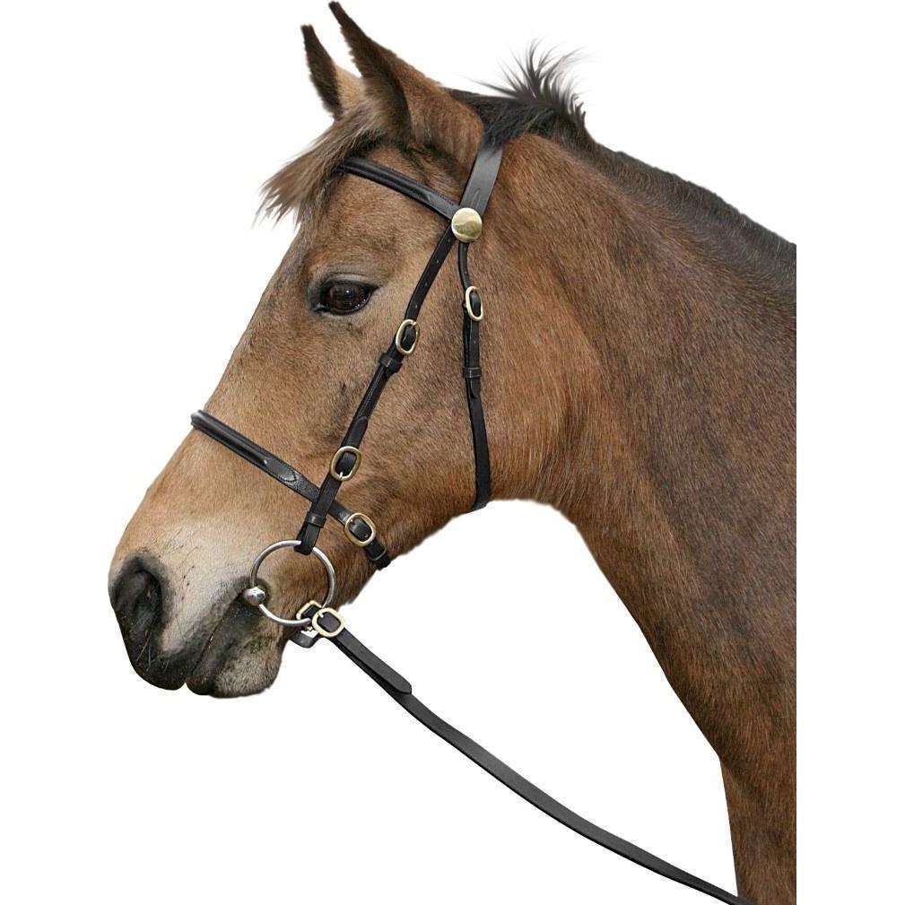 Cavallino In Hand Bridle