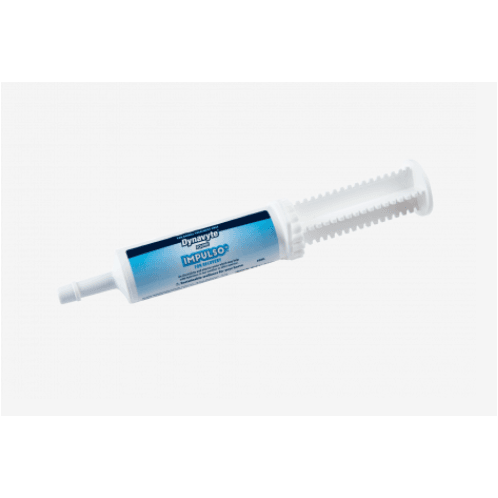 Dynavyte Impulso Paste 60Ml