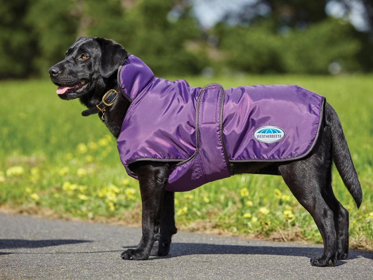 Weatherbeeta ComFiTec Windbreaker 420D Deluxe Dog Coat