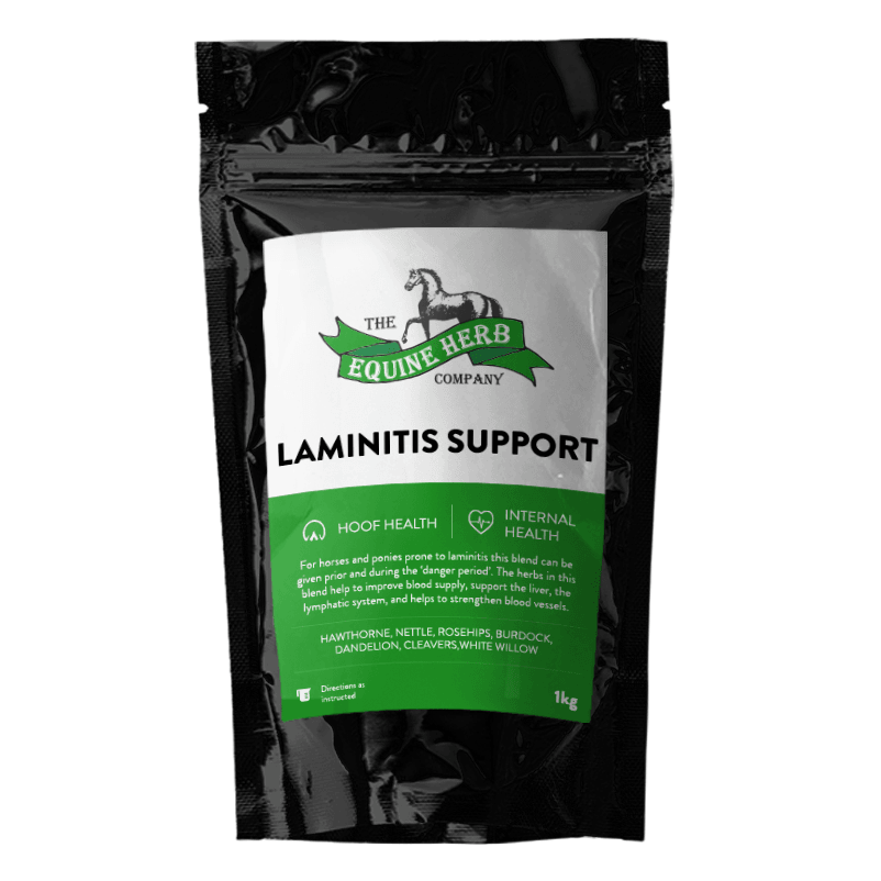 Equine Herbs Laminitis Blend