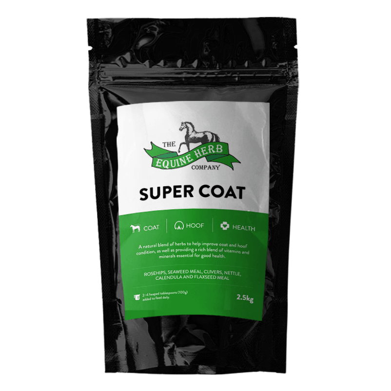 Equine Herbs Super Coat