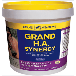 Grand Meadows Grand H.A Synergy