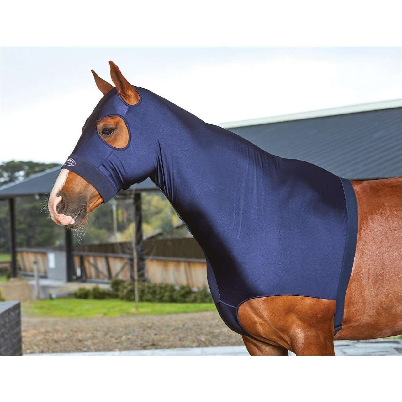 Weatherbeeta Deluxe Stretch Hood